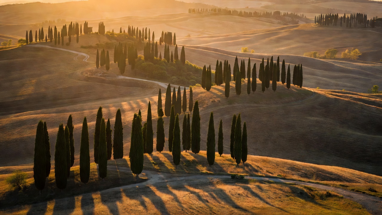 Golden sunlight illuminating cypress hills in Val d'Orcia Tuscany